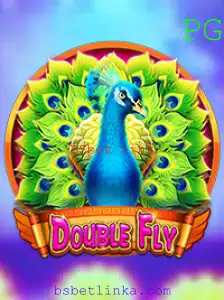 Descubra o Empolgante Mundo de DoubleFly e Como Jogar